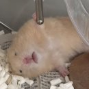 바로해장 이미지