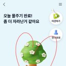 케이뱅크 돈나무 키우기 후기 10만원 리워드 총정리