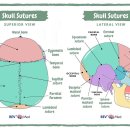 설명한의원 병점 이미지