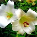 무념무상 이미지