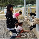 당나귀숲 이미지