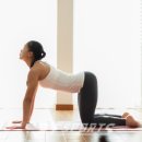 맥시멈요가 이미지