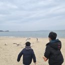 해변공연장 | [대부도] 아이와 가볼만한 곳 - 배터지는집, 방아머리 해변, 동춘서커스