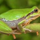 행정사 사람중심 사무소 이미지