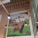 고센사슴목장 이미지