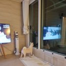 정말 끝, 그리고 다시 설레임 / 5~6월
