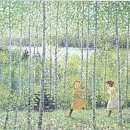 자작나무 숲 이미지