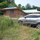 원요진농장 이미지