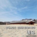 종로-신교-종로-신-270 | 종로 종묘 가는법 관람료 입장시간 입장료 총정리 서울 역사 여행 추천