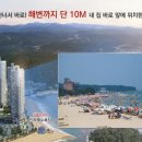진하약국 네이버블로그