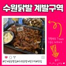 와락김밥 | 인계동술집 수원닭발 계발구역 오꼬노미 김밥 직화닭발 방문후기