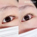 하비래쉬
