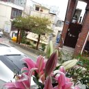 임해농장 이미지