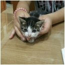 신공항동물병원 이미지