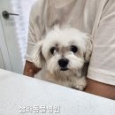 표선동물병원 이미지