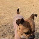 두호경로당 이미지