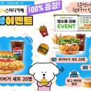 셀독24 이미지