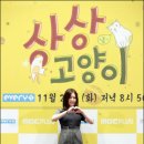 상상고양이 이미지