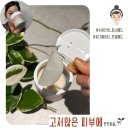 수분진정 토너패드 루토스 워터 글로우 첫결 패드 고저 많은 피부에 편안함을