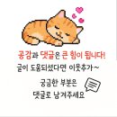 Det Beef Noodles)·피시앤칩스(Fishing Meow Fries), 마사지샵(Relax) 후기, 줄넘기 촬영지· 카오산...