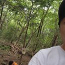 자연숲어린이집 | [서귀포자연휴양림 유아숲체험원 후기] 정말 좋습니다. 미취학자녀가 있다면 꼭 가보세요~ 초강추 숲...