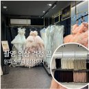의상디자인 중급A | 더브라이드스튜디오 촬영 후기 A to Z｜드레스·작가·헤어피스·준비물 총정리