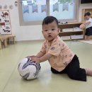 8월 21일 놀이사진 - 에너지 부채 만들기,색깔 발바닥에 흡착놀잇감 붙이기 이미지