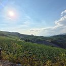 정선하늘터 이미지