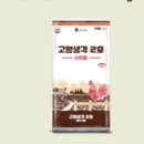 대한사료 이미지