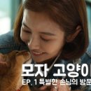 강릉수영장 이미지