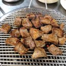 불타는돈갈매기 이미지