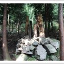 도계체육공원 이미지