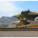 남인천하 Daum카페