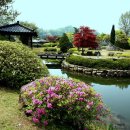 정*원 - 안양시 동안구 귀인로172번길 | 정*원