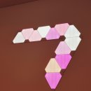 온라인_버츄프로젝트 이미지