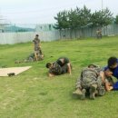 주짓수 쎈짐 이미지