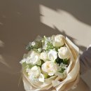 다솔시스템 이미지