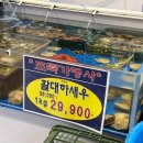 청주 오창 2산단 오창마트 대하 먹은 후기 !