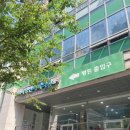 콩세알튼튼치과의원 | 서초치과 | 과잉진료 없는 남부터미널치과 | 콩세알튼튼치과의원 내돈내산 후기