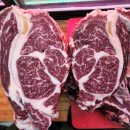 비거농장 이미지