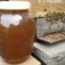 서호동-61 이미지