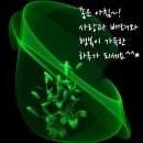 청춘수상레저 이미지