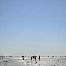 NR-39[서해로]-하-50 | 하나개해수욕장 맨발걷기 최고! (+ 물때표 보는 방법)