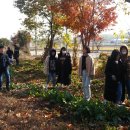 사창농장 이미지