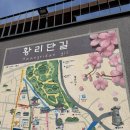 3박 4일 경주 여행 관광지 및 유적지 추천, 꿀팁, 후기 - 황리단길, 대릉원, 천마총, 첨성대, 스타벅스...