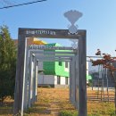 평화의길 28코스(DMZ자생 식물원~양구통일관)6.9km