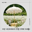 카페지새울 | [아산 대형카페] 샤스타데이지 투어! 화이트톤 감성 카페, '카페지새울' 내돈내산 후기