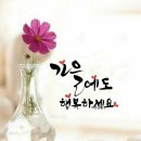 퓨전장구 이미지