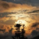 스마트폰 활용(Ⅱ) 이미지