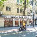 아마레관광호텔 | '이때' 가면 후회해요! 시기가 중요한 해외 여행지 TOP3